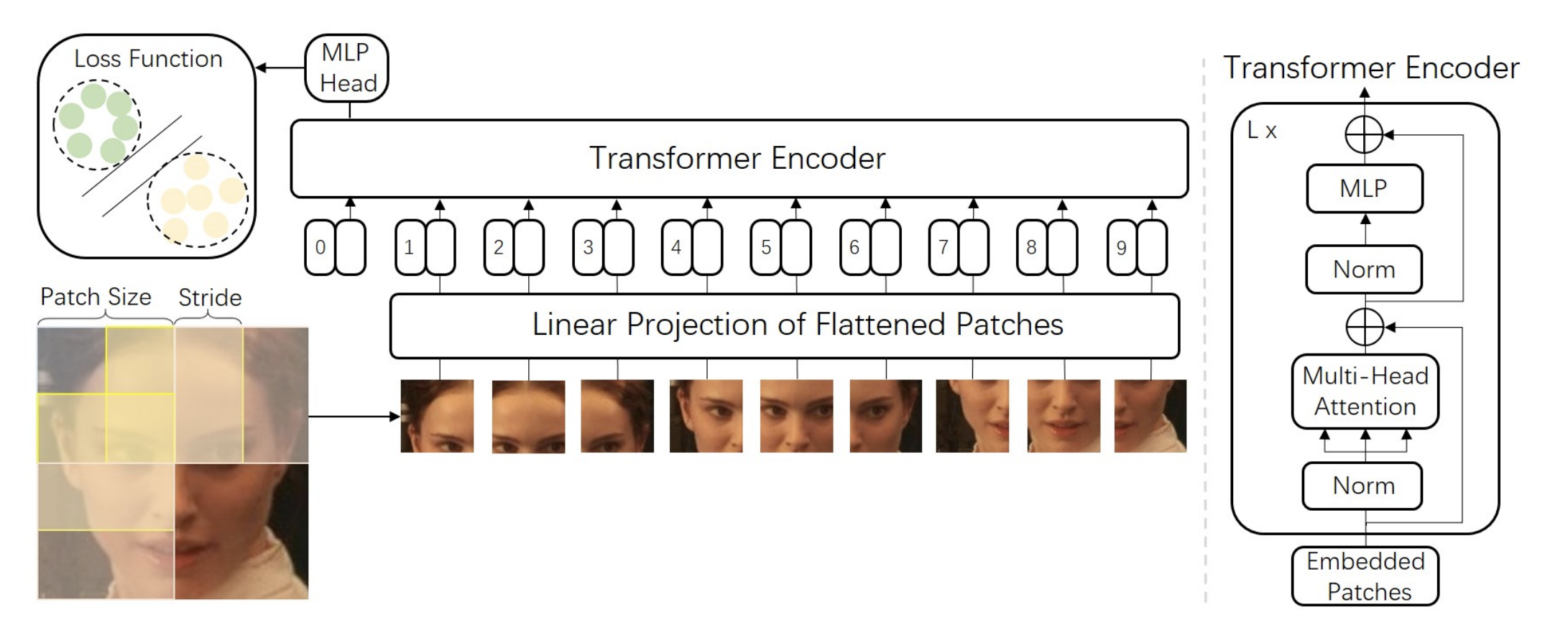 linear embeddings